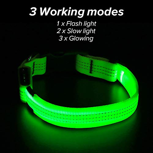 Collar de perro Clan_X LED recargable por USB que brilla en la oscuridad intermitente collar para mascota, collares de perro con luz para mantener a tus mascotas visibles y seguras, S/M/L