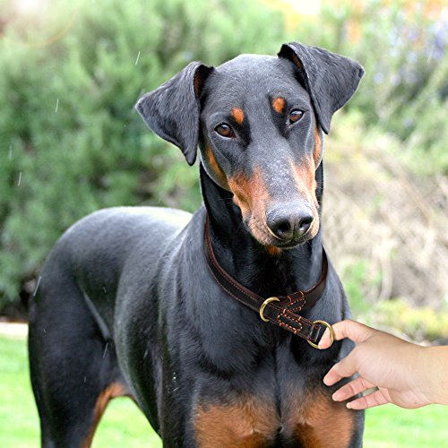 Collar De Perro Collares De Perro De Cuero Real Antideslizantes Duraderos, Collar De Entrenamiento De Estrangulamiento Para Perros Medianos Grandes Para Labrador, Pastor Alemán, Mascota, Negro, Marró