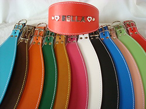 Collar de perro de cuero para galgos, personalizable (tamaño del cuello 32 cm - 43 cm) -