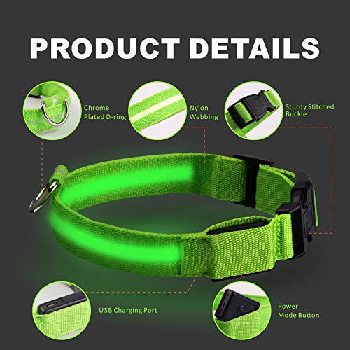 Collar de Perro LED Baytion Collar de Perro Luminoso Recargable USB con Collar Intermitente Recargable e Impermeable (X-Large(42-56cm/28-40kg Dogs))