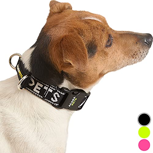 Collar de Perro para no ahogar su Cuello. Tiene una Parte rígida bajo el agarrador y 2 Puntos de Enganche. Esto Hace Que el Collar no se estreche Tanto. (Negro, XS)