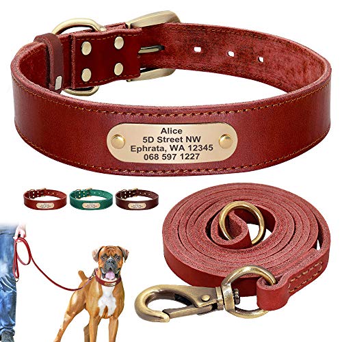 Collar de perro personalizado Juego de correa de collar de perro de cuero personalizado Correa de collar de mascota personalizada Placa de identificación grabada gratis para perros pequeños med