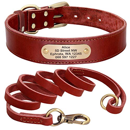 Collar de perro personalizado Juego de correa de collar de perro de cuero personalizado Correa de collar de mascota personalizada Placa de identificación grabada gratis para perros pequeños med