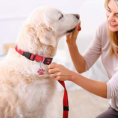 Collar de Perro Suave Acolchado Neopreno Ajustable Collares Reflectantes para Mascotas para Perros PequeñOs Medianos Grandes - Rojo - S