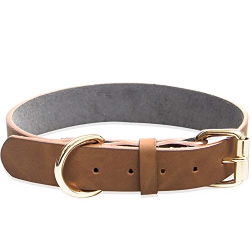 Collar de piel ajustable, cuello de cuero suave y fuerte, collares de perro resistentes para perros de razas pequeñas, medianas y grandes PU (S)