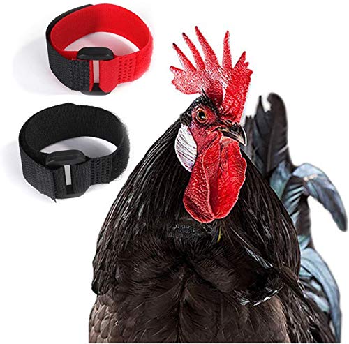 Collar de Pollo Rojo Negro Collar para Gallo Anti Gancho Collar de Gallo Ajustable Evita Que los Pollos griten Molestar a los vecinos Collar Pollo 2 Piezas