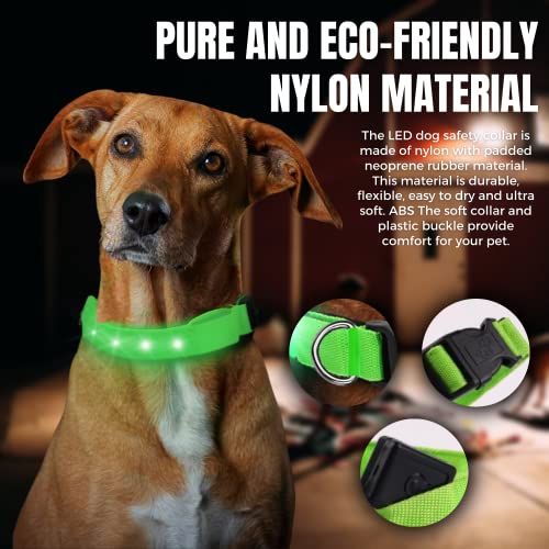 Collar Luminoso para Perro, led, Reflectante, para Perro pequeño Mediano y Grande, tamaño Ajustable, bateria Impermeable y Recargable, Collares electricos Luminosos (S, Verde)