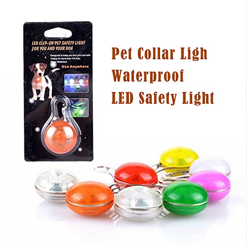 Collar Luminoso Perro de Mascota LED, Leopardo, Collares básicos, Brillante, Seguro 3 Modos, Perros Pequeños, Medianos y Grandes, Recargable USB