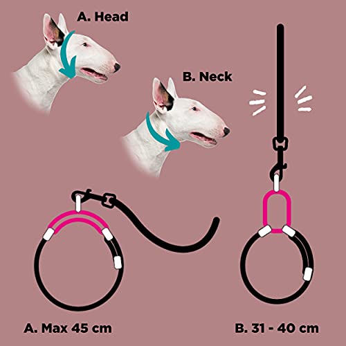 Collar Martingale y Correa para Perros Medianos / Grandes como los Galgos