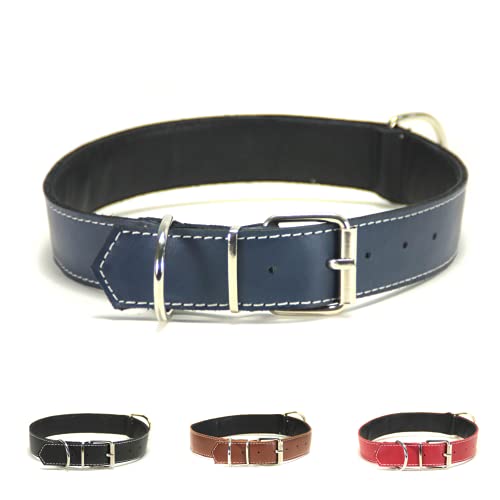 Collar para Perro de Piel, Perros pequeños, medianos y Grandes, Ancho y Resistente, Collares en Color marrón, Azul Marino, Negro y Rojo (M: Ajustable 27 - 37 CM, Ancho 2 CM, Marino)