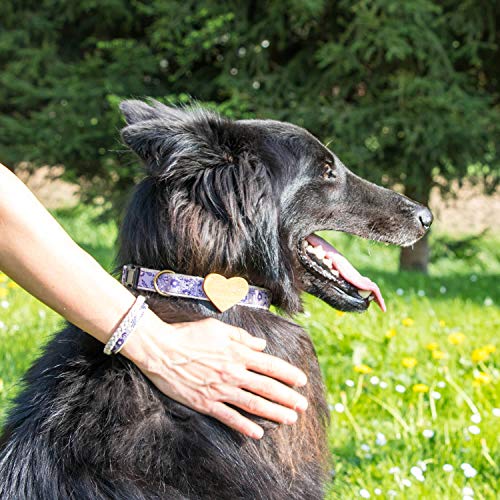 Collar para perros con corazón de madera de haya y brazalete de amistad marca Pettsie