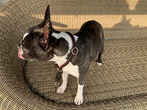 Collar para Perros Semiestragulador, Hecho en España, Ajustable Deslizante en Nylon Redondo, Antitirones y Resistente, Adiestramiento para Perros Pequeños, Medianos y Grandes. XL 70CM