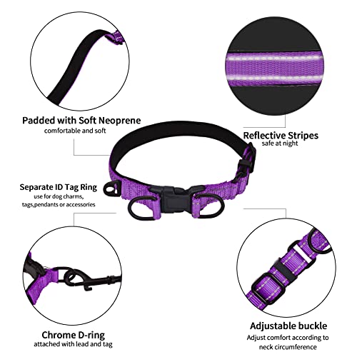 Collar Perro Ajustable,con Correa Perro,Collar Nylon Reflectante,1.2m Correas para Perros, para Caminar Correr Entrenamiento,para Perros Pequeños,Morado,2.0cm De Ancho