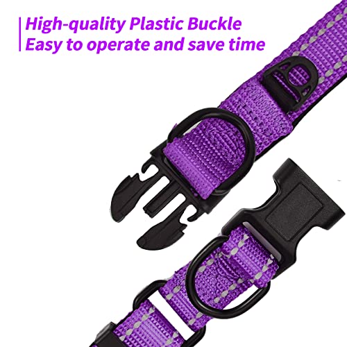 Collar Perro Ajustable,con Correa Perro,Collar Nylon Reflectante,1.2m Correas para Perros, para Caminar Correr Entrenamiento,para Perros Pequeños,Morado,2.0cm De Ancho