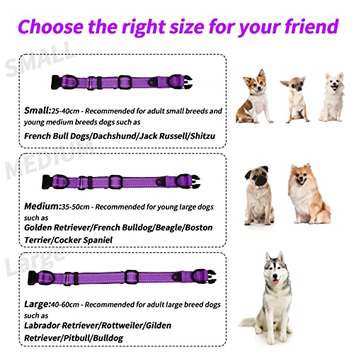 Collar Perro Ajustable,con Correa Perro,Collar Nylon Reflectante,1.2m Correas para Perros, para Caminar Correr Entrenamiento,para Perros Pequeños,Morado,2.0cm De Ancho