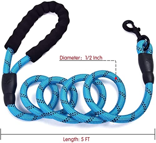 Collar Perro Ajustable,con Correa Perro,Collar Nylon Reflectante,1.5m Correas para Perros, para Caminar Correr Entrenamiento,para Perros Pequeños,Azul,2.5cm De Ancho