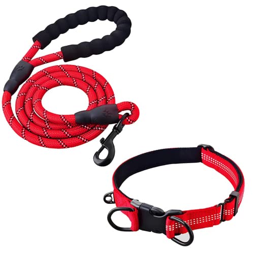 Collar Perro Ajustable,con Correa Perro,Collar Nylon Reflectante,1.5m Correas para Perros, para Caminar Correr Entrenamiento,para Perros Pequeños,Rojo,2.5cm De Ancho