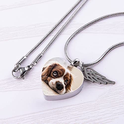 Collar personalizado personalizado de la urna de la etiqueta del perro de la urna de la etiqueta del perro de la cremación de la foto grabado de la fecha del nombre conmemorativo de la fecha del,