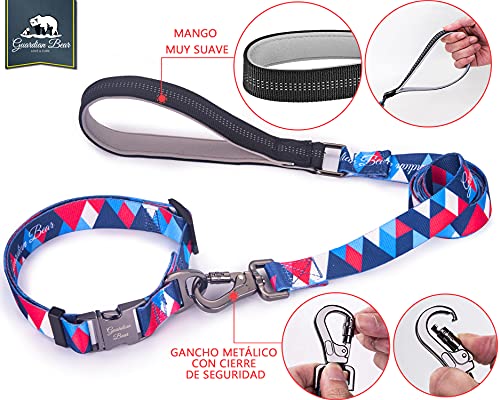 Collar y Correa Perro Grande Premium con Cierre Metálico, Seguro y Ajustable. Set para Perros y Cachorros Cómodos, Modernos y de Diseño. Serie New York.