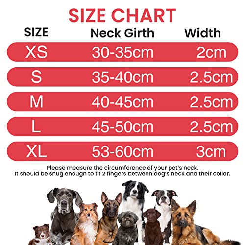 Collares y Correa para Perros Reflectante PcEoTllar Neopreno Acolchado Collar de Perro con Correa Etiqueta Duradero Ajustable Forrado Pequeños Medianos Grandes - Rojo - L