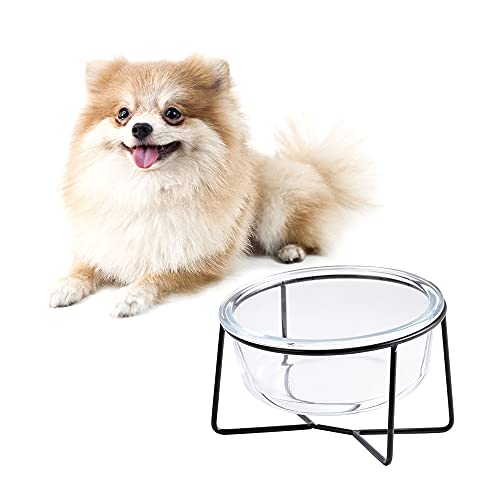 Comedero Gato - Comedero Perro Elevado con Soporte - Comederos y Bebederos para Perros Pequeños y Gatos - Cuenco Gato Cristal para Agua y Comida - 600 ml