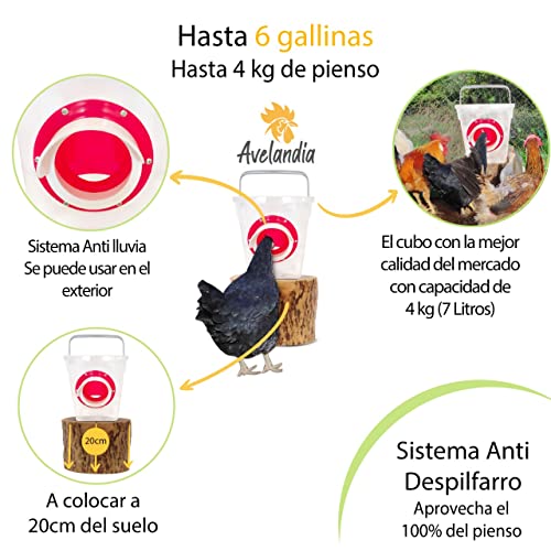 Comedero para gallinas Anti Desperdicio 4 KG con Sistema Anti Lluvia y tapón Anti Roedores. Aprovecha el 100% del pienso