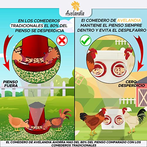 Comedero para gallinas Anti Desperdicio 4 KG con Sistema Anti Lluvia y tapón Anti Roedores. Aprovecha el 100% del pienso