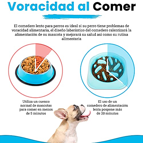 Comedero para Perro antivoracidad, comedero Lento para Perros, comedero Divertido Interactivo, Evita Asfixia y Mejora la digestión, Incluye comedero y Bebedero Plegable de Silicona