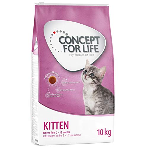 Concept for Life Kitten - Alimentos secos para gatos jóvenes de 2 a 12 meses y reinas embarazadas/lactantes para un desarrollo óptimo