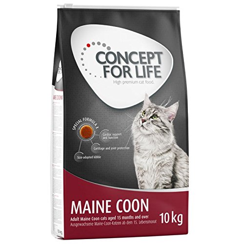 Concept for Life Maine Coon Adulto. Un alimento saludable y equilibrado para gatos