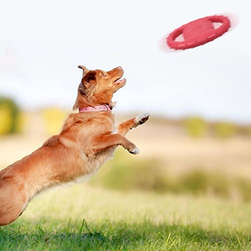 conpoir Anillo de Entrenamiento para Perros EVA con Disco Volador para Perros y Asas Dobles, Juguetes para aviadores para Perros, Actividad al Aire Libre, Juguete Flotante para Buscar