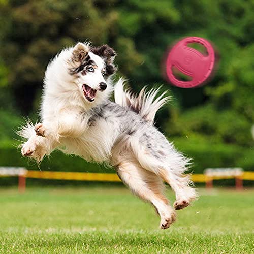 conpoir Anillo de Entrenamiento para Perros EVA con Disco Volador para Perros y Asas Dobles, Juguetes para aviadores para Perros, Actividad al Aire Libre, Juguete Flotante para Buscar