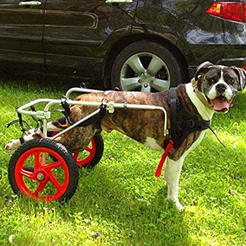 Cora Pet Perro de Bicicletas remolques cómodo Suave piernas traseras Rehabilitación de Peso Ligero 2 Ruedas Movilidad Ajustable Silla de Ruedas Perro for los Mascotas Conejo (Size : L)