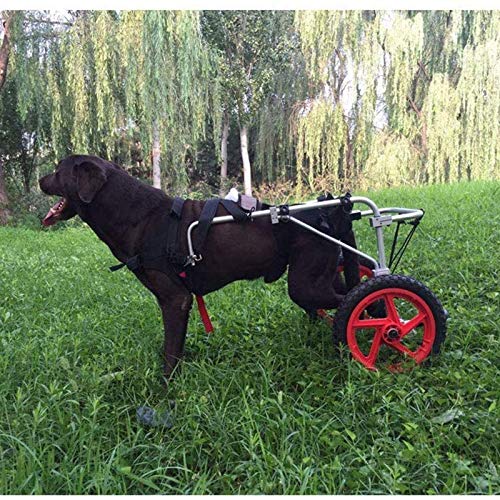 Cora Pet Perro de Bicicletas remolques cómodo Suave piernas traseras Rehabilitación de Peso Ligero 2 Ruedas Movilidad Ajustable Silla de Ruedas Perro for los Mascotas Conejo (Size : L)