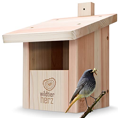 corazón Animal Salvaje | Caja Nido para colirrojo, Robins & Co de Madera Maciza - atornillada y Resistente a la Intemperie, casa de pájaros e incubadora para criadores especializados