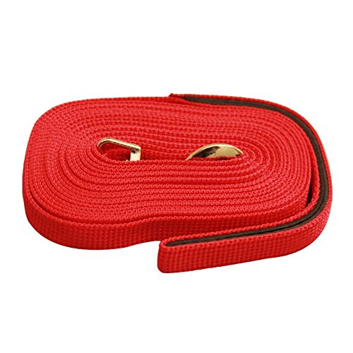 Correa ajustable de perro 5 m (Rojo), diseño de osos de hasta 20 kg