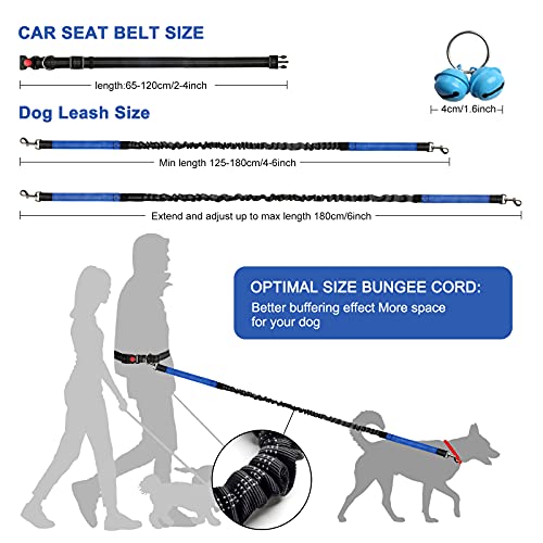 Correa Canicross Correa para Perros Manos Libres 1.3-1.8M Reflectante Elástica Correa para Perro cinturón ajustable para perro con Costuras Reflectantes para Correr Caminar Trotar(Azul)