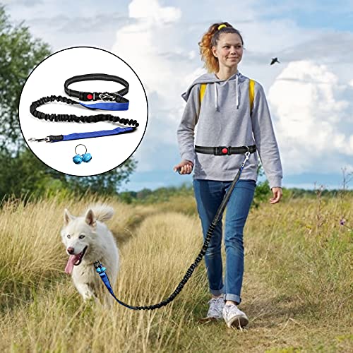 Correa Canicross Correa para Perros Manos Libres 1.3-1.8M Reflectante Elástica Correa para Perro cinturón ajustable para perro con Costuras Reflectantes para Correr Caminar Trotar(Azul)