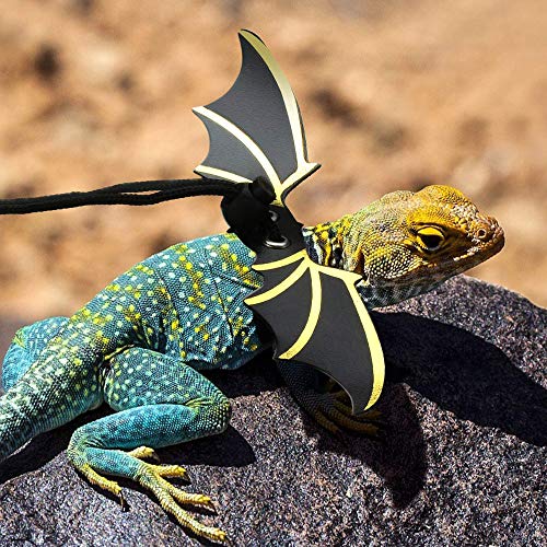 Correa de Lagarto, Arnés Ajustable para Reptiles, Cuerda de Tracción Lagarto, Ajustable Moda Correa Arnés Cuero Lagarto con Alas para Lagartos, Anfibios y Otras Mascotas Pequeñas (3 Tamaños)