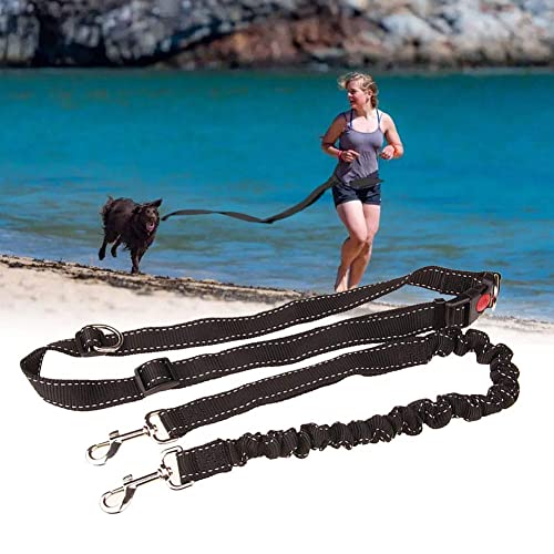 Correa de perro manos libres, correa de nailon duradera con cinturón ajustable para perro, correr, caminar y senderismo