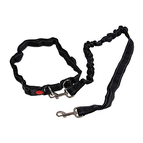 Correa de perro manos libres, correa de nailon duradera con cinturón ajustable para perro, correr, caminar y senderismo