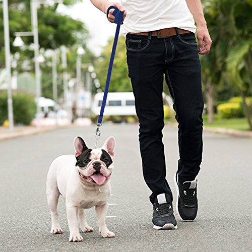 Correa para entrenamiento para perro o cachorro, varios tamaños 4,5 m, 6 m, 9 m, 15 m, 23 m, 30 m