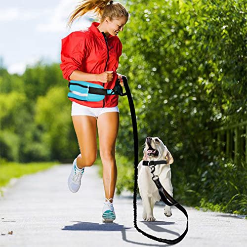 Correa para perro en la cintura, riñonera ligera y cómoda Correa deportiva para perro para pasear al perro para correr de noche cielo azul