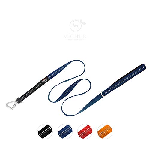 Correa para Perros Michur Bruno Azul, Correa para Perros con Estiramiento de hasta 165 cm, Forrada con Neopreno, antichoque reflexivo