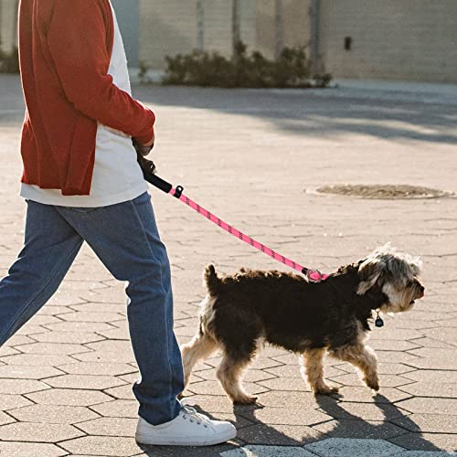 Correa para Perros,Reflectantes Correa de Cuerda con Dos Mango Acolchado Suave Doblepara,Nylon Hilos Anti-Ahogo,Correa de Adiestramiento Ajustable,para Cachorros,Perros Pequeños,Medianos y Grandes