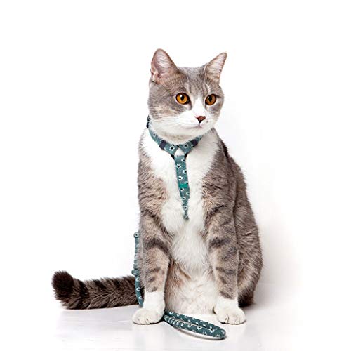 Correa Perro Moda Creativa Gato Correa Cuerda Gato Cinturón Pecho Correa en Forma de Gato Gato Cadena Suministros Correa de Adiestramiento para Perros (Color : Blue, Size : S)