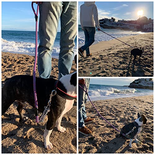 Correa Perro Nylon Redonda con Muelle, Hecho a Mano en España, Resistente Antitirones Fuerte para Perros Gordos Medianos y Grandes. Tamaño de 1.2*120 cm (Azul&Naranja)