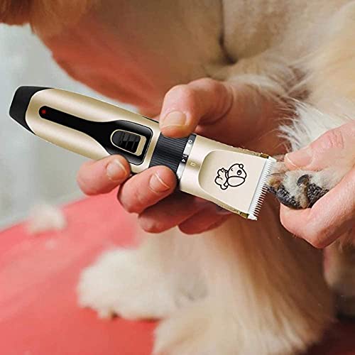 Cortadora De Perros Cortadora De Gatos Persa De Carga Rápida Cortadora De Mascotas De Carga Inalámbrica Silenciosa Adecuado Para Largo, Grueso, Corto, Extraíble Y Lavable Blade-3 Cortapelos Perros