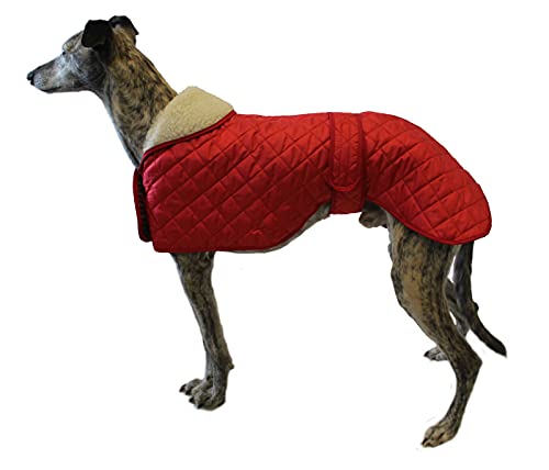 Cosipet Greyhound Anorak - Abrigo de Nailon (46 cm), Color Rojo