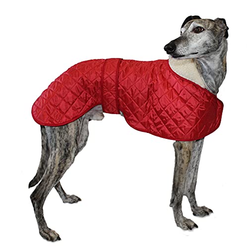 Cosipet Greyhound Anorak - Abrigo de Nailon (46 cm), Color Rojo